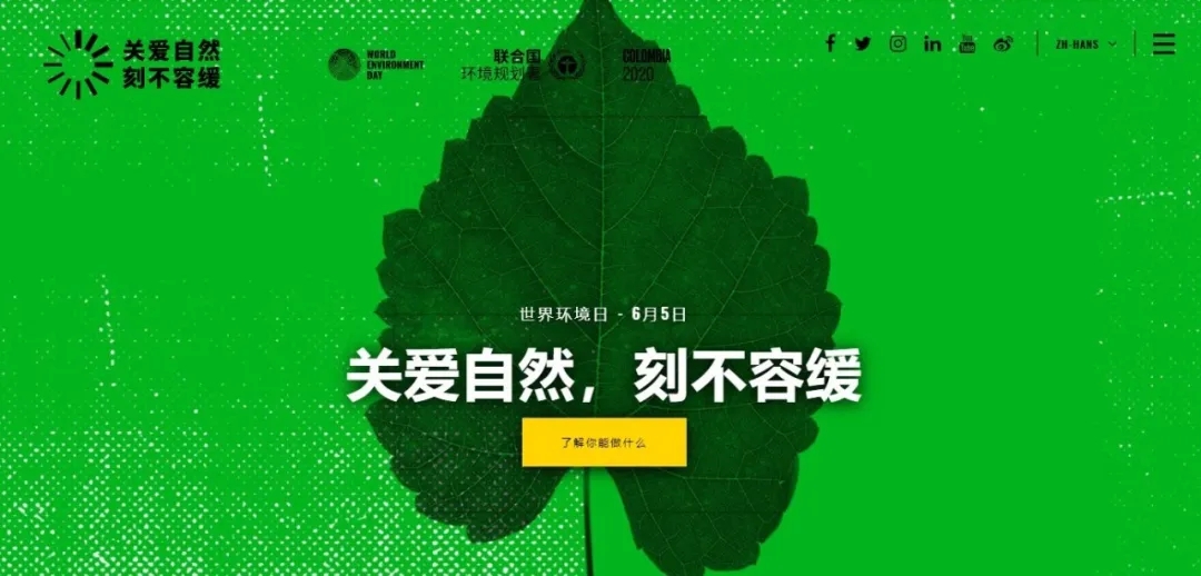 mmexport1589366870719.jpg