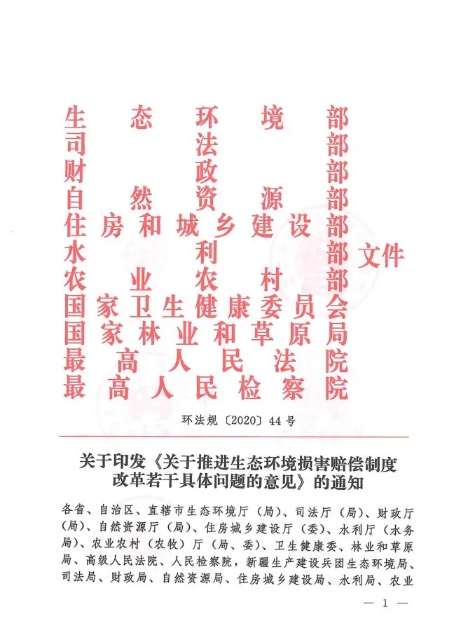 mmexport1599877514483.jpg